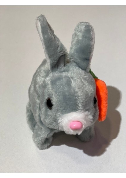 Elektronik Pilli Sesli Zıplayan Hareketli Havuçlu Peluş Tavşan 18 x 17 cm 1 Adet indirimleri