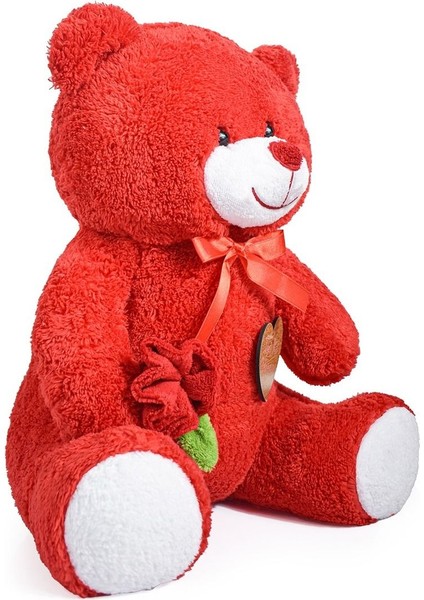 75 cm Iyi Ki Varsın Tahtalı, Peluş Güllü Sevimli Ayıcık 1 Adet fırsatları