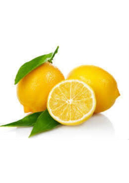 Luxury Limon 50 Adet Bitki Çayı Bonesi 1 Adet