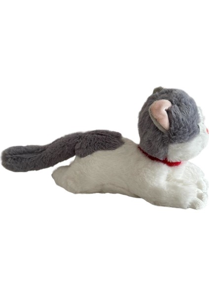 Sesli Yatan Miyavlayan 25 cm Peluş Kedi Oyuncak 1 Adet