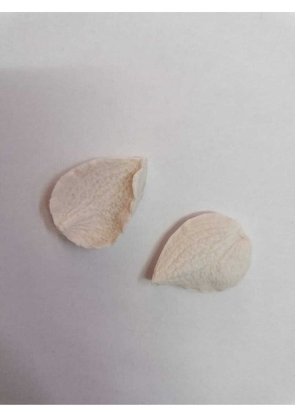 Luxury Damarlı Oval Yaprak Silikon Kalıp 1 Adet