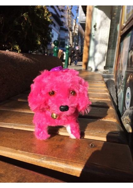 Havlayan, Yürüyen Pilli Oyuncak Peluş Köpek(Koyu Pembe) 1 Adet