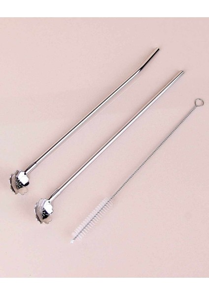 Luxury Paslanmaz Metal 2'li Kaşıklı Pipet Fırça Seti 1 Adet