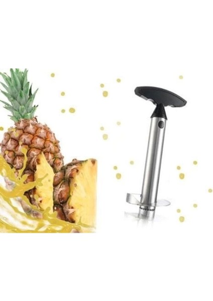 Luxury Kolay Ananas Dilimleyici Paslanmaz Çelik Meyve Soyucu 1 Adet