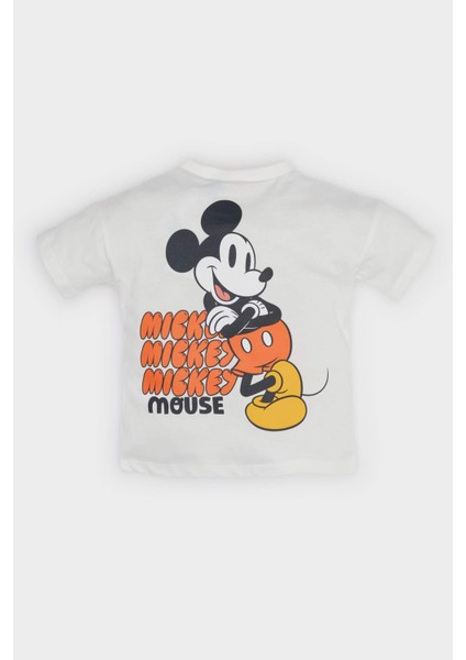 Erkek Bebek Disney Mickey & Minnie Kısa Kollu Tişört E7175A525SM modelleri