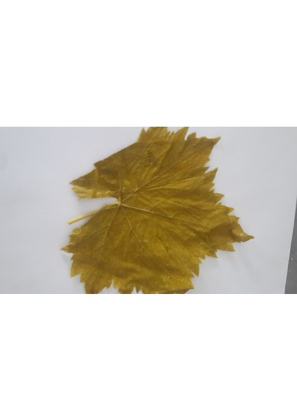 Üzüm Yaprağı(Asma)1 kg