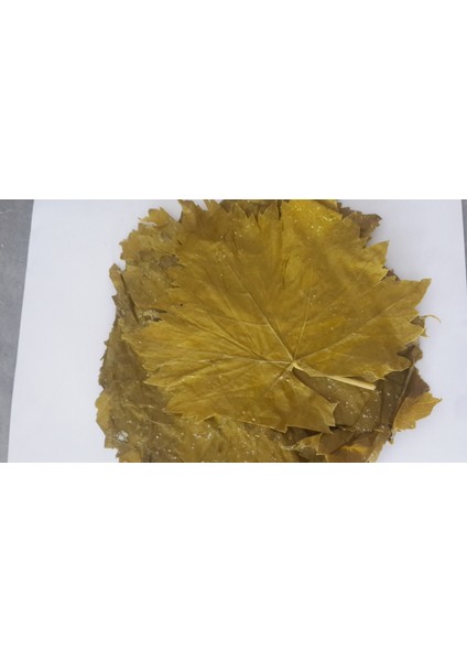 Üzüm Yaprağı(Asma)1 kg
