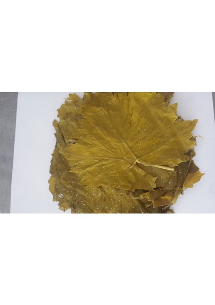 Üzüm Yaprağı(Asma)1 kg