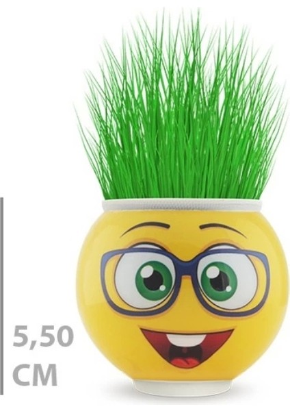 Çim Adam Saksı Emoji Figürlü 1 Adet
