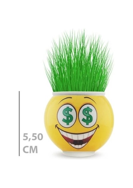Çim Adam Saksı Emoji Figürlü 1 Adet