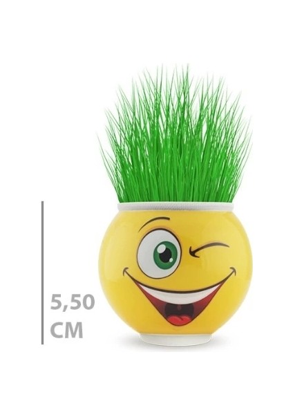 Çim Adam Saksı Emoji Figürlü 1 Adet