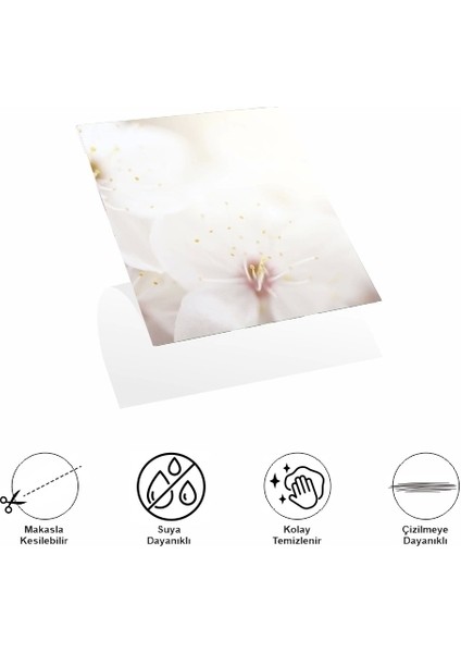 Decohandy 30 x 30 cm Pvc Duvar Karosu 4'lü Paket - Japon Çiçeği