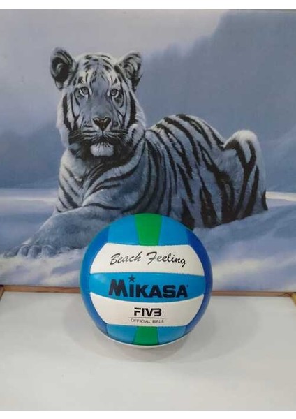 Voleybol Topu