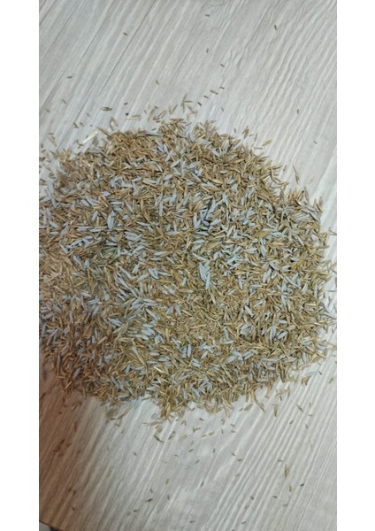 Sparrıng Karışımı 5 Mix Basmaya Dayanıklı Çim Tohumu fiyatları