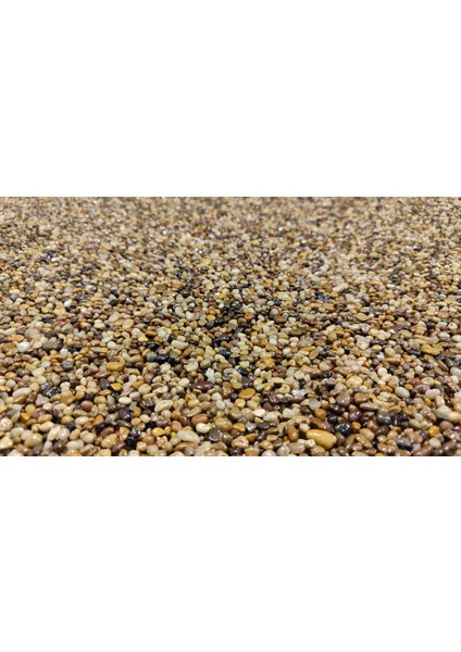 Doğal Renk Taş Halı Kendin Uygula Kiti - Kolay Uygulama Stone Carpet Seti (İç/Dış Mekan Uyumlu)