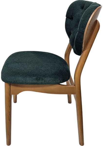 Hasağaç Anise Ahşap Modern Sandalye