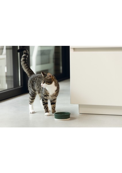 Dbl Kedi Mama Su Kabı, Seramik, Mat Yeşil, 12cm, 300ml fiyatları