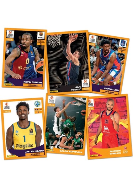 Turkish Airlines Euroleague 2025 Çıkartma Albümü Başlangıç Paketi Set 36 Paket (180ADET)