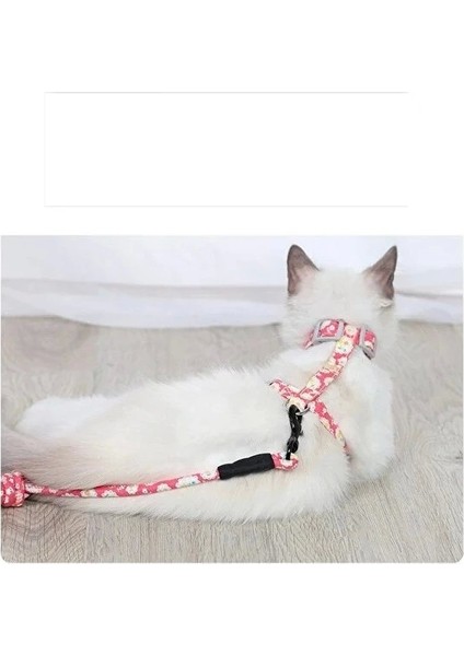 Kedi Gezdirme Göğüs Tasması