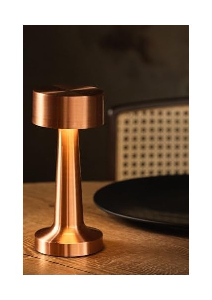Metrashop Vista Şarjlı Dokunmatik Dekoratif Dim Edilebilir Masa Lambası (Rosegold, Dalya)