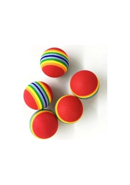 2 Adet Gökkuşağı Renklı Kedı Köpek Oyun Topu fırsatları