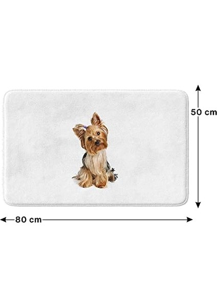 Metrashop Sevimli Tasarımlı Mikrofiber Banyo Paspası, Kaymaz Taban, Makinede Yıkanabilir (152_BPSM, 2'li Takım 40 x 60_50 x 80)