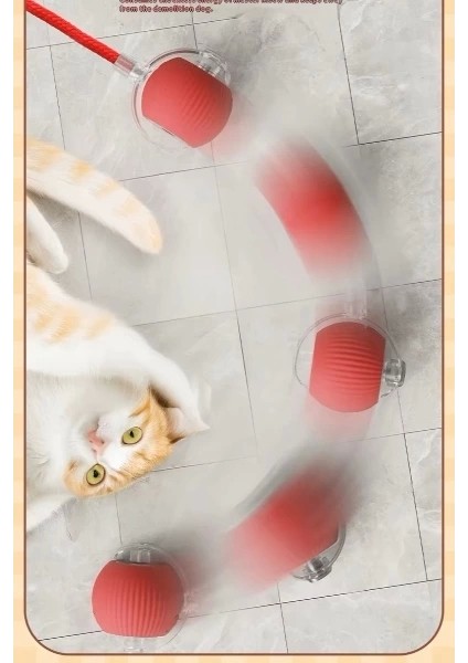 Şarjlı Kedi Oyuncağı modelleri