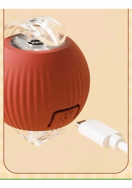 Şarjlı Kedi Oyuncağı fırsatları