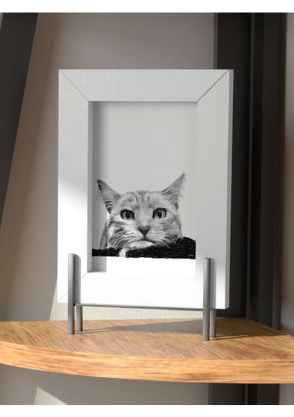 Patili Dostunuza Özel Karakalem Çizim Dijital Çerçeveli - Kedi & Köpek