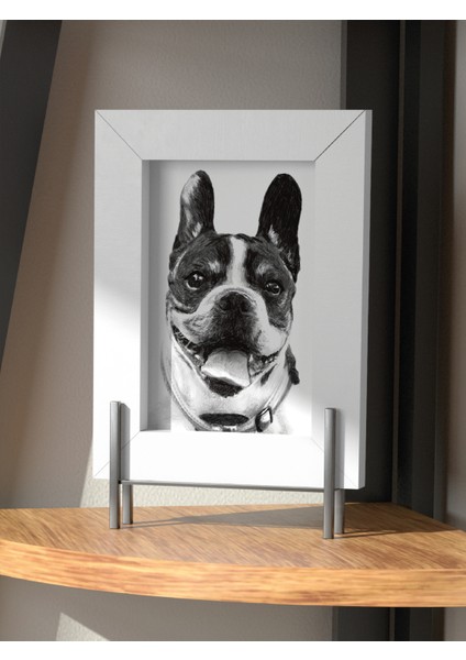 Patili Dostunuza Özel Karakalem Çizim Dijital Çerçeveli - Kedi & Köpek