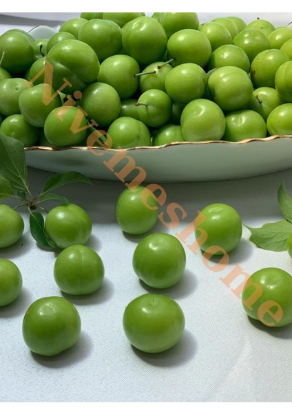 Nivemeshome Hatay Yöresine Ait Yeşil Erik 1,5 kg
