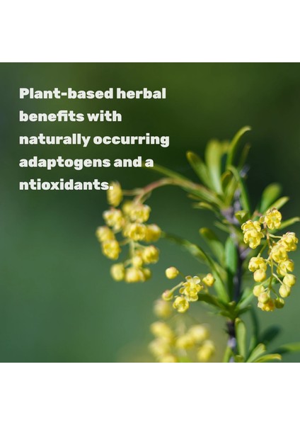 Berberine Supplement 500MG Per Serving, 120 Veggie Caps modelleri