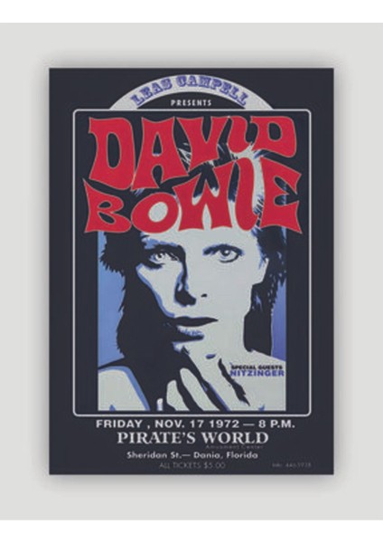 David Bowiepirate's World 1972 Vintage Duvar Posteri - Duvar Dekoru - Kalın Kağıt - Çerçevesiz