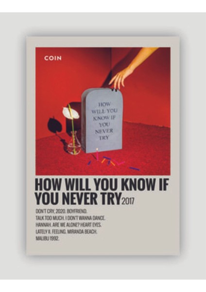 How Will Youknow If You Never Try Duvar Posteri - Duvar Dekoru - Kalın Kağıt - Çerçevesiz