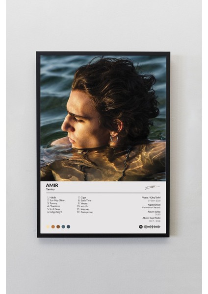 Tamino Amir Albümü Çerçevesiz Albüm Tasarımlı Spotify Poster