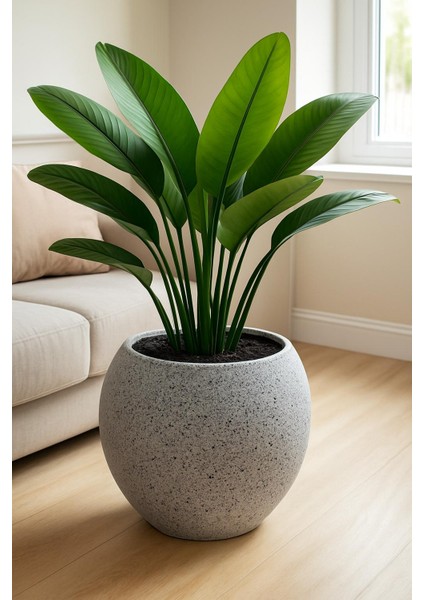 Orta Boy 27 Litre Küre Model Beton Pütür Efekt Fiber Saksı