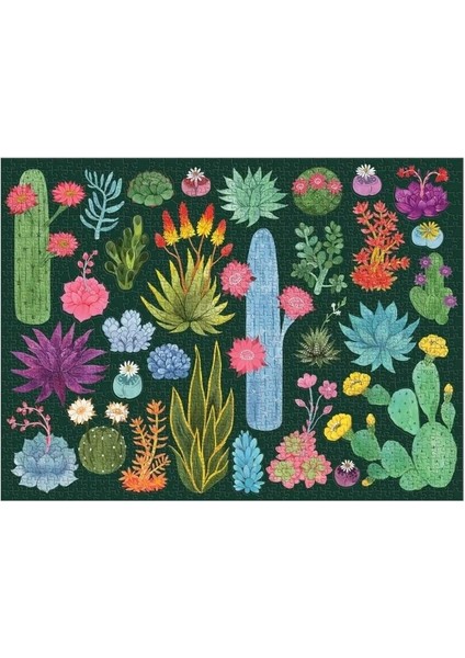 Çöl Bitkileri Puzzle