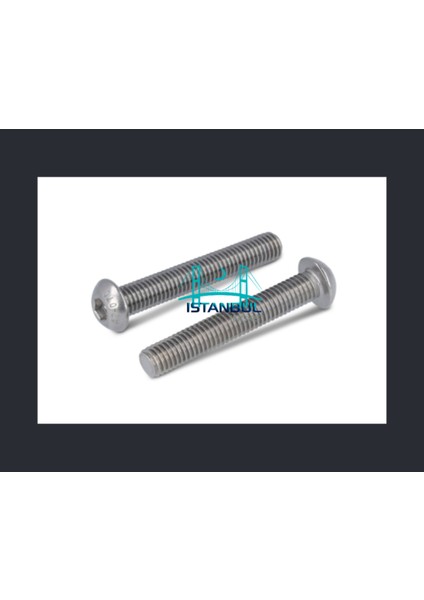 Istanbulinoks - Paslanmaz Bombe Baş Imbus M6X20 mm - 20 Adet