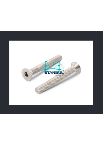 istanbulinoks - Havşa Baş imbus Civata M8X30 mm - 20 Adet