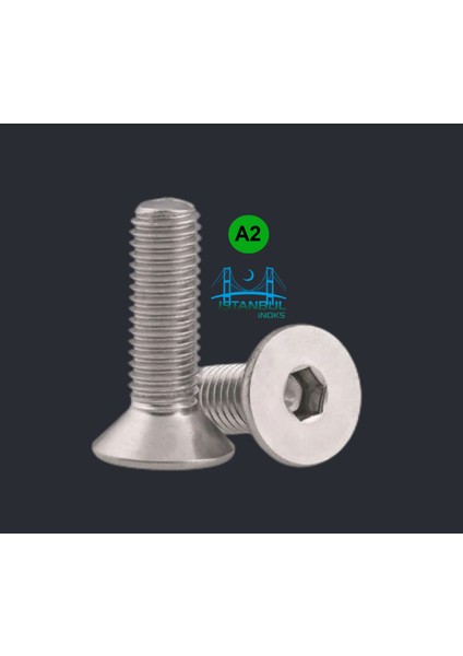 Istanbulinoks - Havşa Baş imbus Civata M6X16 mm - 20 Adet