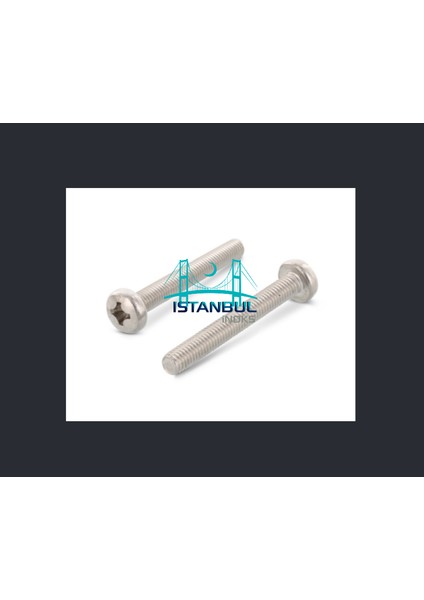 Istanbulinoks - Paslanmaz Ysb Vida M8X30 mm - 20 Adet