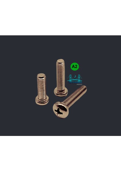 Istanbulinoks - Paslanmaz Ysb Vida M3X16 mm - 20 Adet