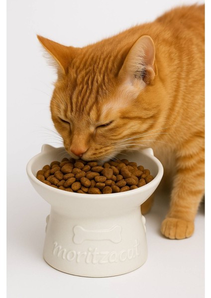 Kedi Figürlü Seramik Mama-Su Kabı