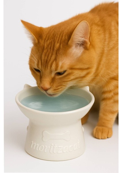 Kedi Figürlü Seramik Mama-Su Kabı fiyatları