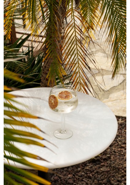 Kurutulmuş Portakal 110 G (E) modelleri