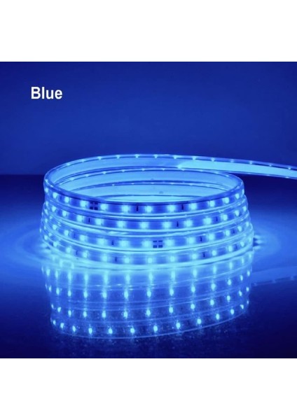 Hortum Esnek Şerit LED Mavi Işık 220V Fış/1,2,3,4,5,7,10,15,20,25,30 Metre