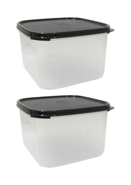 Modular Mates mm Set: 2 x Mini Dikdörtgen Rectangle Iı By Tupperware