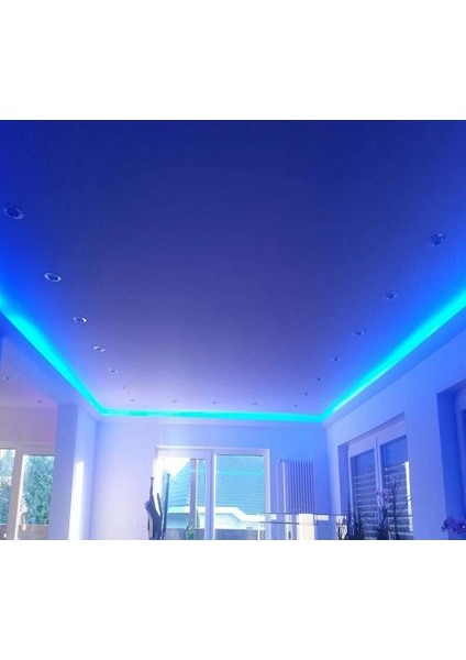 Hortum Esnek Şerit LED Mavi Işık 220V Fış/1,2,3,4,5,7,10,15,20,25,30 Metre indirimleri