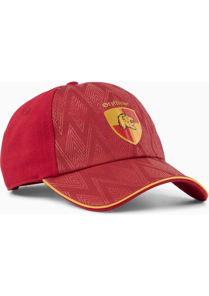 x Harry Potter Dad Cap