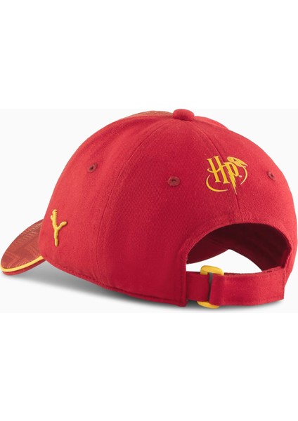 x Harry Potter Dad Cap fiyatları